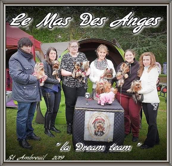 du Mas des Anges - CACS St Ambreuil 