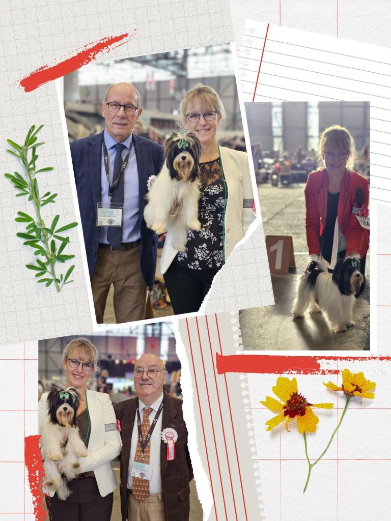 Geneva Dog Show 2024