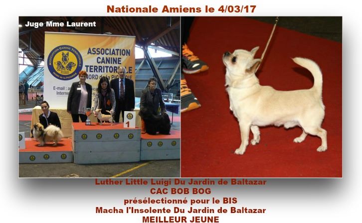 du Jardin de Baltazar - Nationale Amiens le 4/03/17