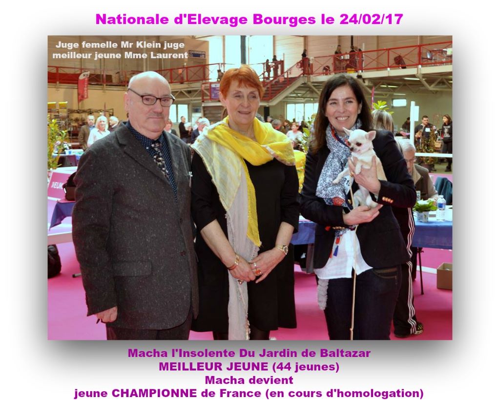 du Jardin de Baltazar - NATIONALE D'ELEVAGE BOURGES LE 24/02/17