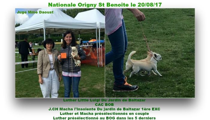 du Jardin de Baltazar - Nationale Origny St Benoîte le 20/08/17