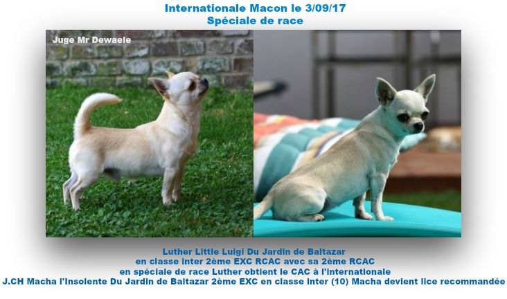 du Jardin de Baltazar - Internationale Macon le 3/09/17