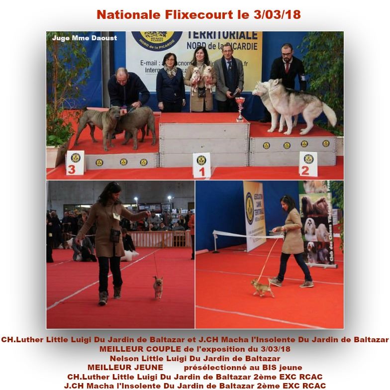 du Jardin de Baltazar - Nationale Flixecourt le 3/03/18