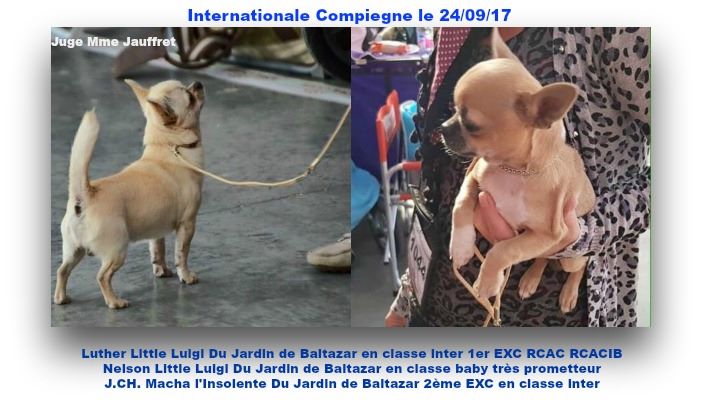 du Jardin de Baltazar - Internationale Compiegne 24/09/17