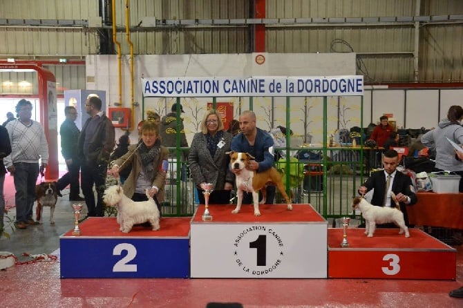 du Moulin de la Seigneurie - Java Meilleur Jeune à Perigueux le 12 mars  et 2èm sur le podium 