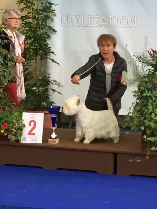 Aldo 2èm sur le ring d'honneur à la Roche sur Yon le 29 mai 2016