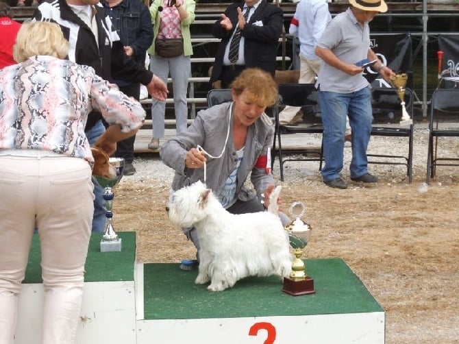 Aldo 2èm sur le Podium à Jarnac le 3 juillet 2016