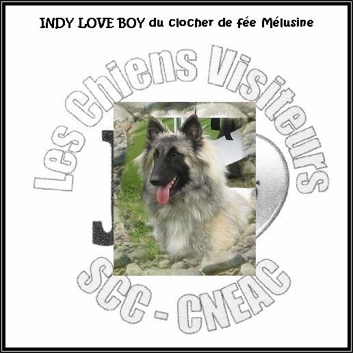 du clocher de fée Mélusine - INDY LOVE BOY obtient son diplôme de "Chien Visiteur " !!