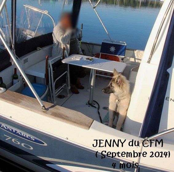 du clocher de fée Mélusine - JENNY a le pied marin !!