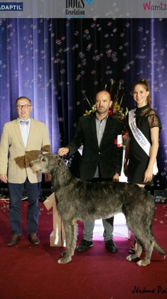 du Chrystal d'Ossian - Oughtiv Championne des expositions Nat.