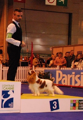 de Bettignies - Salon de l'agiculture 2011