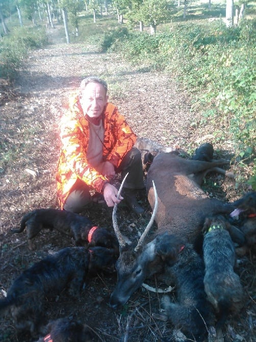 des landes de Saint Martin - Chasse du 11 octobre 2016