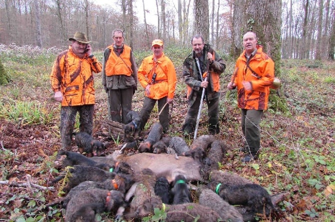 des landes de Saint Martin - Chasse 24 novembre 2016