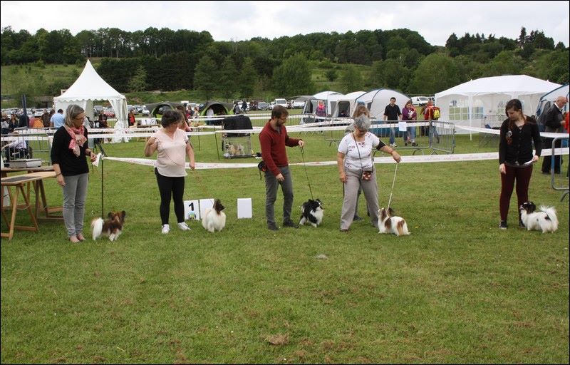 du Pre Mely de Laureden - Exposition à Evreux