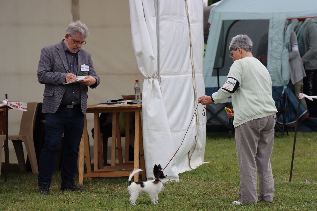 du Pre Mely de Laureden - Exposition Evreux