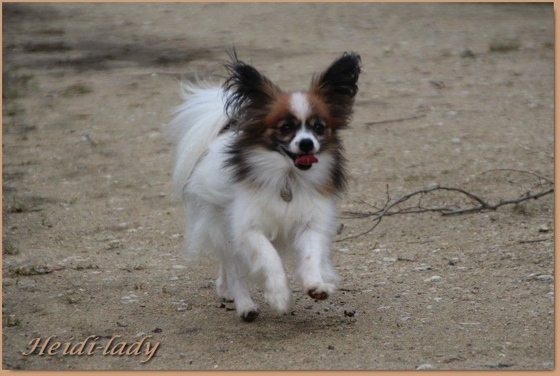 du Pre Mely de Laureden - Heidi-lady le 02 Juin