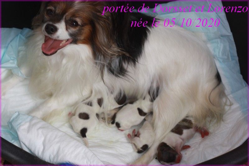 du Pre Mely de Laureden - 4 Mois