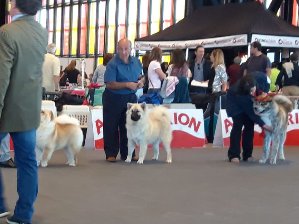 of Nordic Island - Perseo Of Nordic Island - Expo Leon (Espagne)