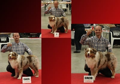 de l'Attrapeur de rêves - Eytoukan au Paris Dog Show !