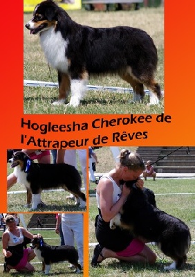 de l'Attrapeur de rêves - Hogleesha Cherokee de l'Attrapeur de Rêves