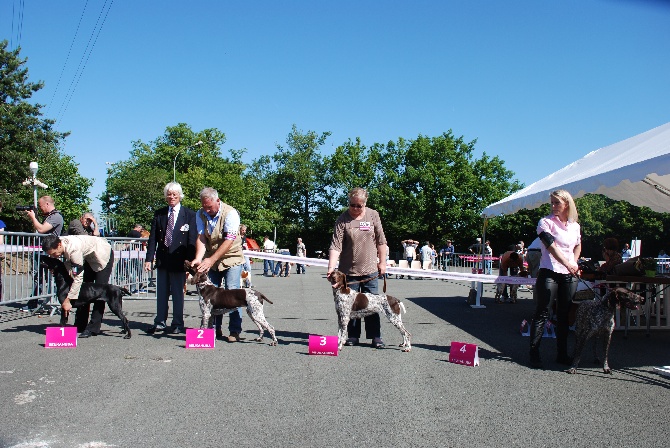 des Granges de la Dombes - CHAMPIONNAT SCC ANGERS 2014