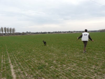 des Granges de la Dombes - VINEUIL PRINTEMPS 2010