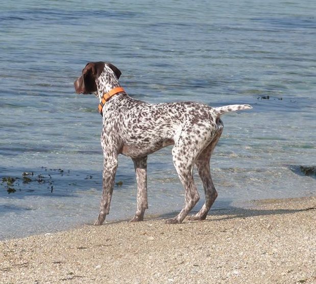 des Granges de la Dombes - Breton veut partir à la pêche