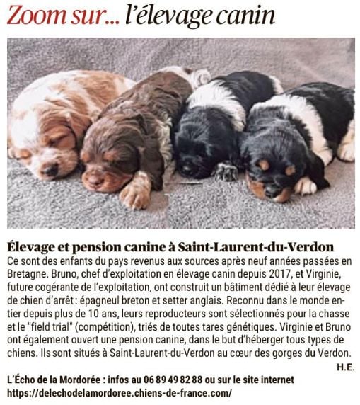 Merci La Provence 