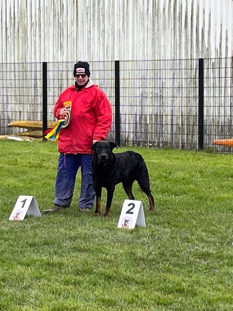 du regard mordant - Journée Beauceron et Regional d?élevage