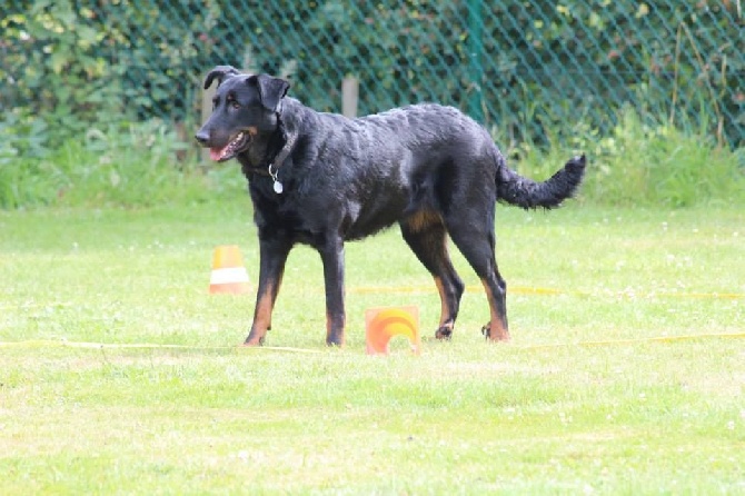 du regard mordant - 4D Beveren 29/06/14