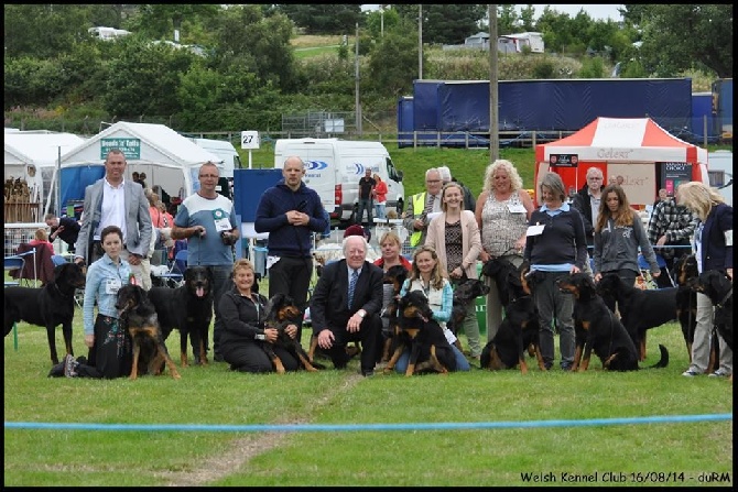 du regard mordant - Resultats Welsh Kennel Club