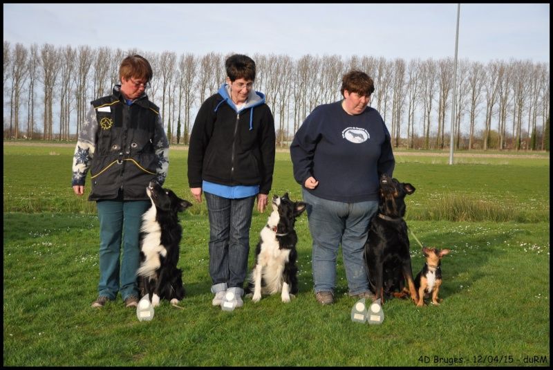 du regard mordant - Obedience Bruges - 12 Avril