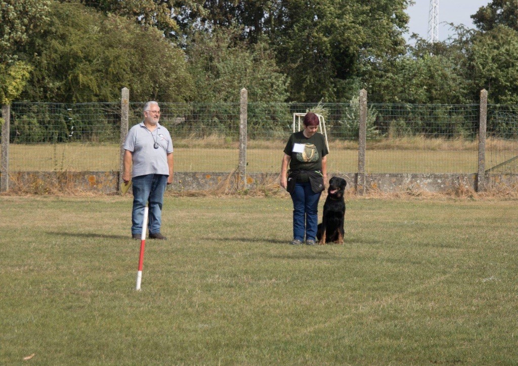 du regard mordant - Programme Aout - Septembre & Octobre