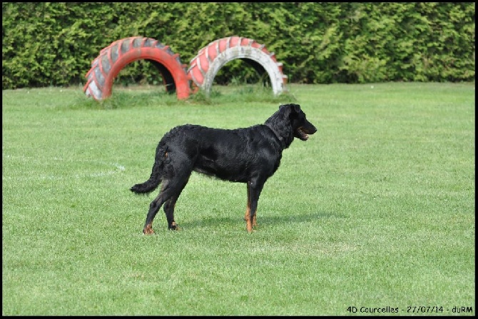 du regard mordant - 4D - UFD Namur- 19/07/14