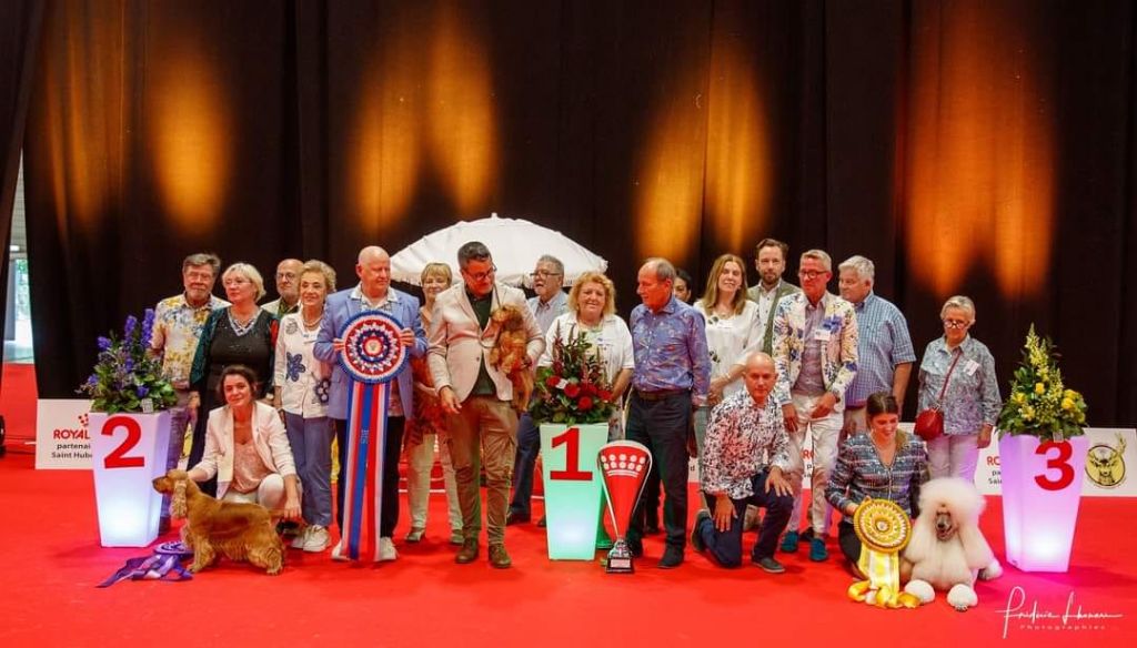 de l'air salin - EL REY remporte le BIS à l' Exposition Internationale de DOUAI