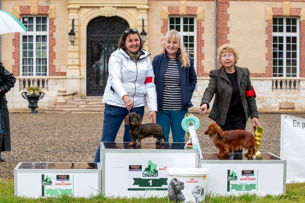 de l'air salin - Exposition de Chartres Spoir 2024