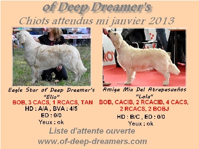 of Deep Dreamer's - Les chiots d'Elio et Lola sont attendus aux alentours du 10 janvier.