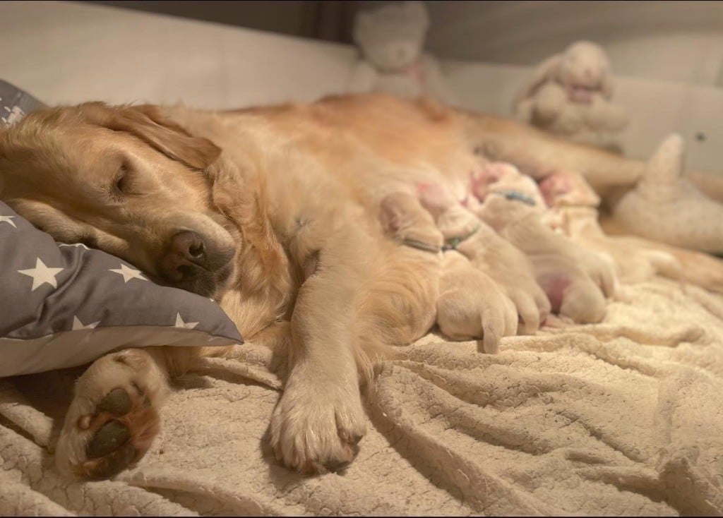 Nos bébés sont nés ! 