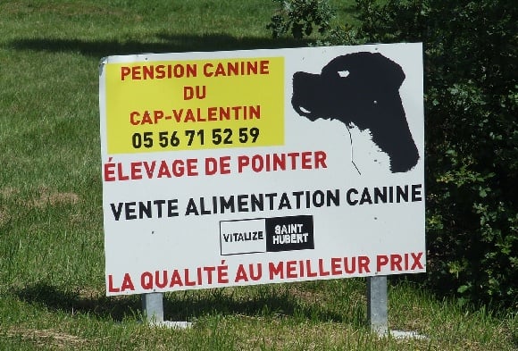 ALIMENTATION CANINE