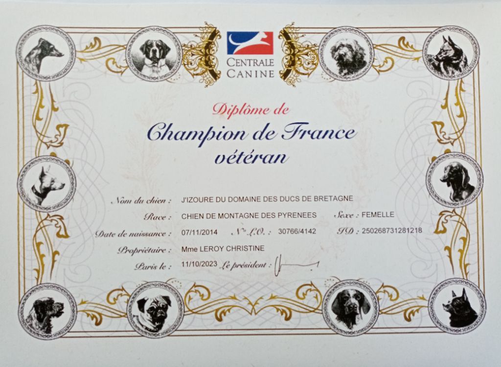 Championne de France Vétéran