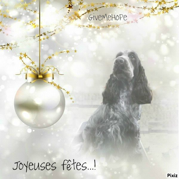 Givemehope - Joyeuses fêtes !