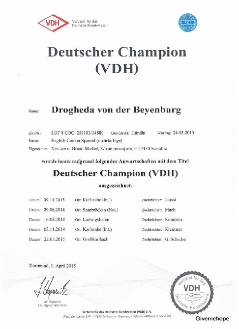 Givemehope - Drogheda, Deutscher Champion !