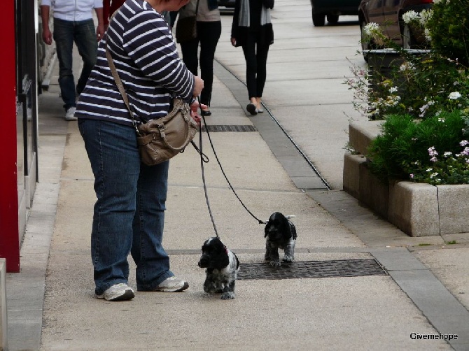 Givemehope - Promenade en ville pour les loupiots !