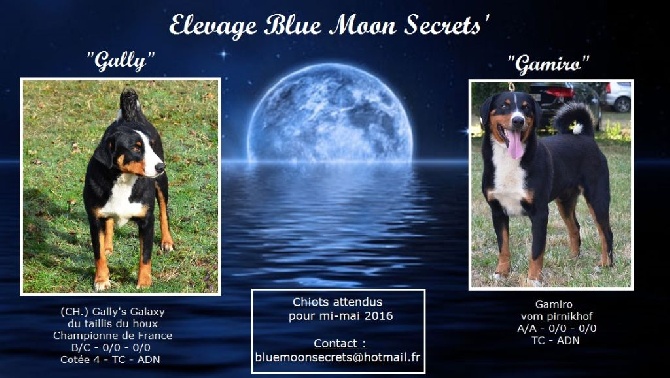 Blue Moon Secrets - Prochaine Naissance