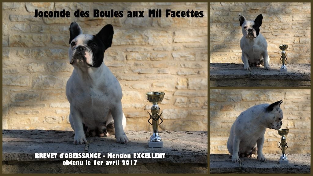 des boules aux mil facettes - Une immense fierté !!!