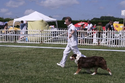 des aussies de la haye - Expo de Campbon