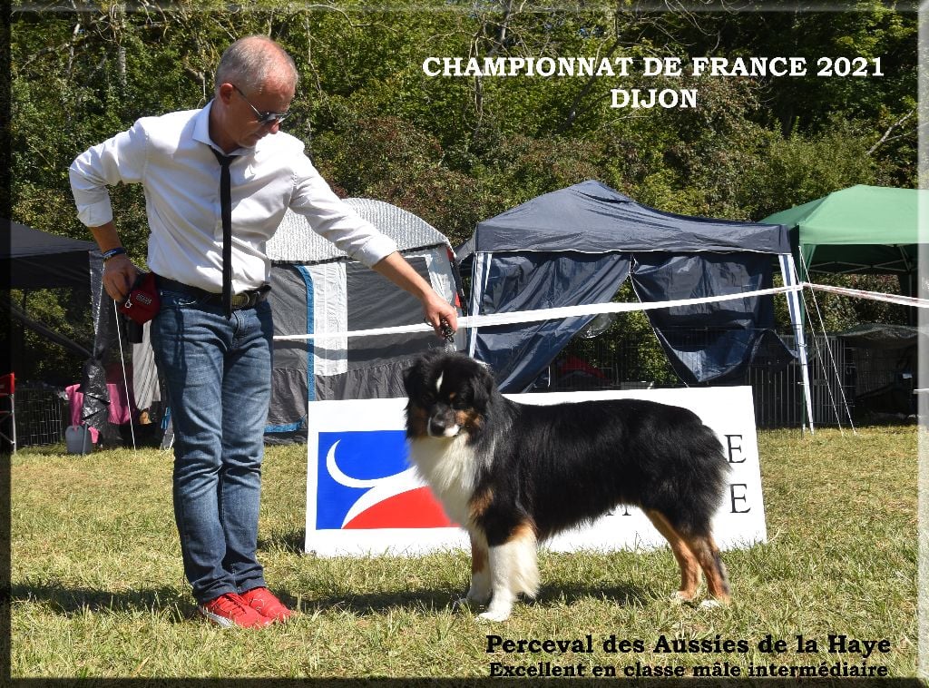 des aussies de la haye - Perceval excellent au Championnat de France