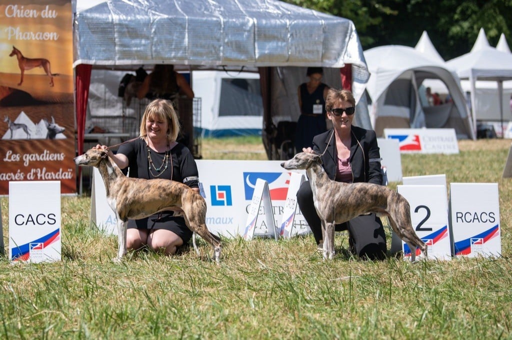 des plaines des Bruyères - Doublé Gagnant au Championnat de France !