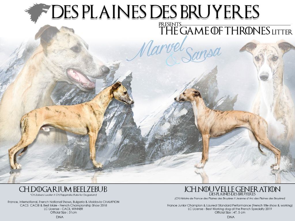 des plaines des Bruyères - Les premiers bébés 2019 se préparent...