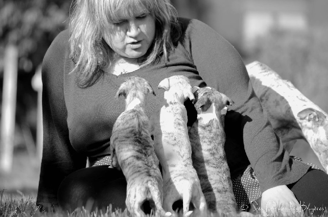 des plaines des Bruyères - Nouvelles photos des bébés